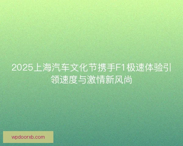 2025上海汽车文化节携手F1极速体验引领速度与激情新风尚