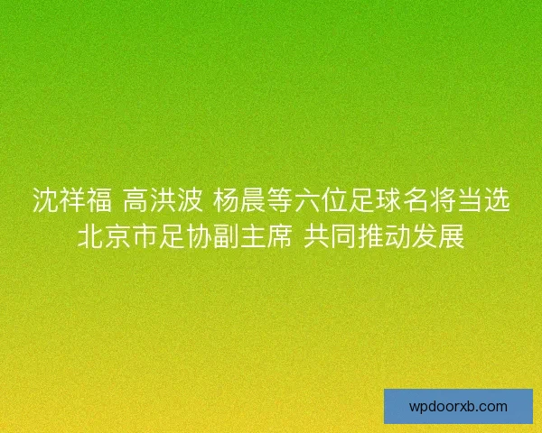 沈祥福 高洪波 杨晨等六位足球名将当选北京市足协副主席 共同推动发展