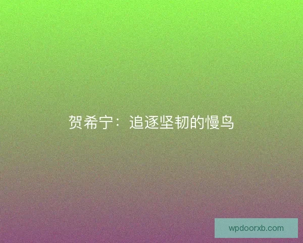 贺希宁：追逐坚韧的慢鸟