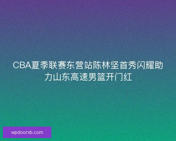 CBA夏季联赛东营站陈林坚首秀闪耀助力山东高速男篮开门红