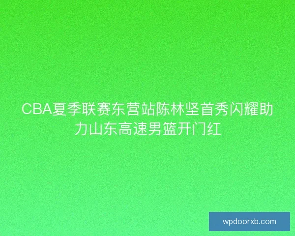 CBA夏季联赛东营站陈林坚首秀闪耀助力山东高速男篮开门红