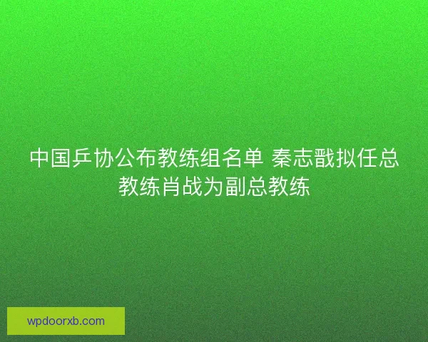 中国乒协公布教练组名单 秦志戬拟任总教练肖战为副总教练